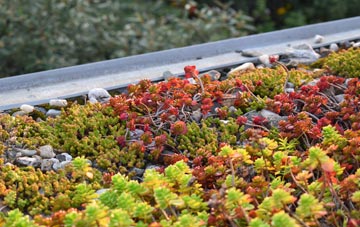 the cost of Rickling green roof installation